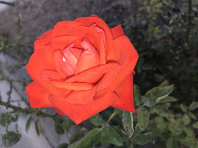 thumb 2016 09 25 IMG 0011