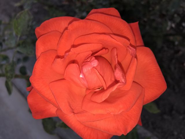 thumb 2016 09 25 IMG 0013