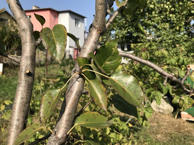 thumb 2016 09 26 IMG 0049
