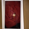 iPhone7