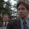 xfiles