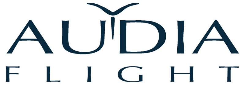 audialoggg